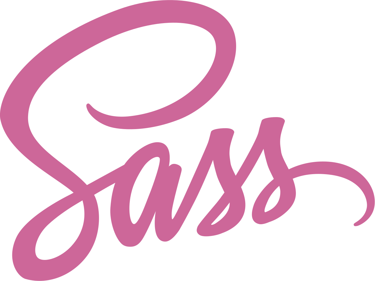 Link to Sass Website